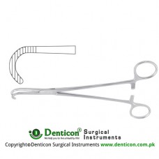 Desjardins Bile Duct Clamp Curved Downards Stainless Steel, 21 cm - 8 1/4"